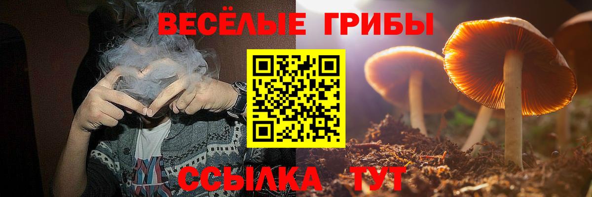 купить   Псилоцибиновые грибы Psilocybine cubensis  Вход с VPN  Ставрополь 