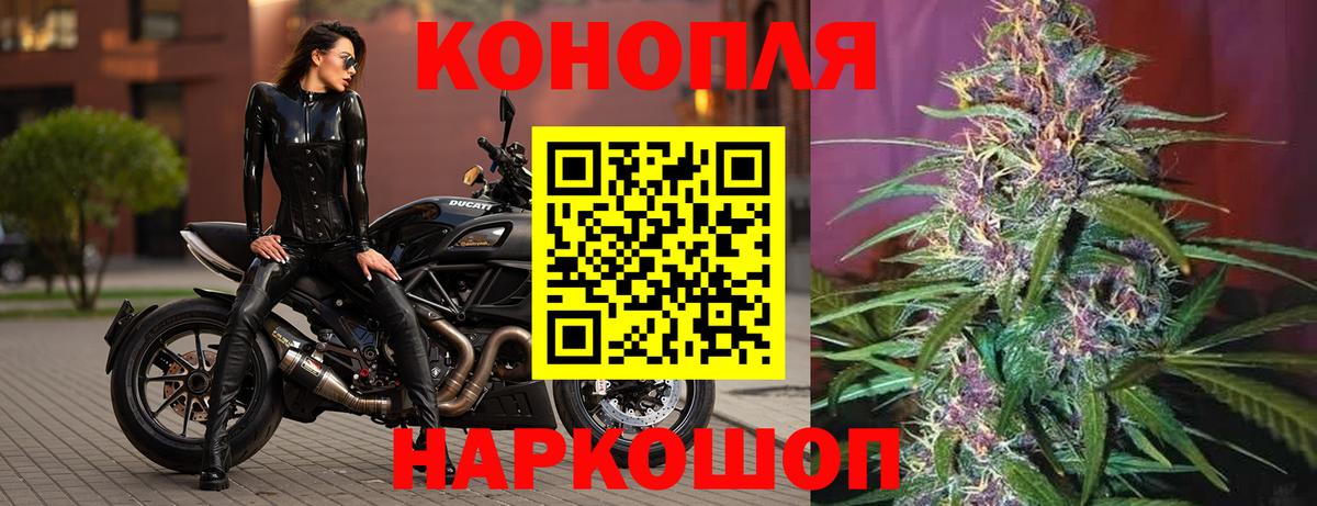 Бошки марихуана сатива Ставрополь